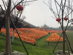 -秀丽东方