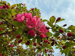 -元大都城垣遗址公园