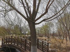 -水西公园