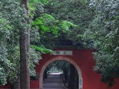 -灵谷景区