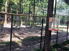 -黄海国家森林公园