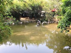 -汇龙潭