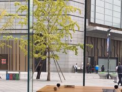 -Apple零售店(华贸购物中心店)