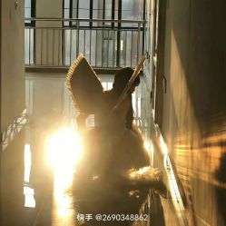 -HEYAN荷妍专业脱毛连锁机构