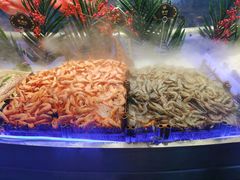 -千家粗粮王(MOMOPARK店)