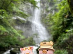 -瓦屋山景区