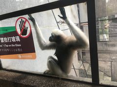-昆明动物园