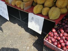 -红星农博物流中心