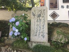 -严子陵钓台(富春江小三峡)