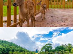 -赤坎·广东华侨国际旅游度假区