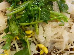 -双塔老饭店