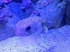 -成都浩海立方海洋公园