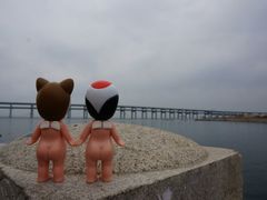 -星海湾跨海大桥