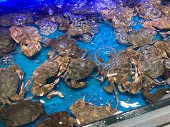 -SEA西雅图海鲜自助餐厅(海乐世界店)