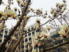 -中国石油大学（北京）(北京西校区)