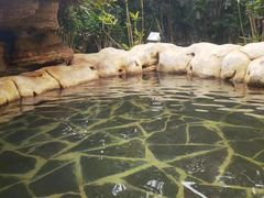 -龙达温泉生态城