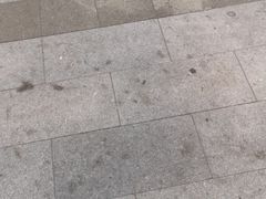 -必胜客(安盛金马店)