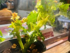-丽江庭院·云南野生菌·海鲜火锅(鼓楼四合院店)
