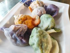 九鲜饺子-宝源饺子(麦子店街店)