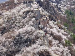 -龙泉峪长城