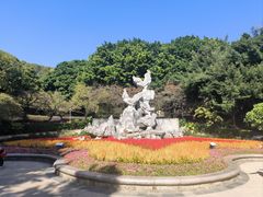 -金鸡山公园