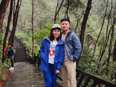 -铁山坪森林公园