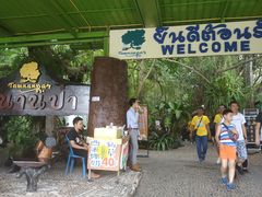 -绿光森林餐厅
