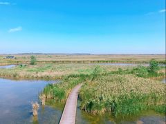 -盐城丹顶鹤湿地生态旅游区