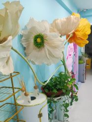 -斐尔国际皮肤管理中心