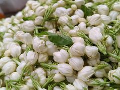 -一坐一忘云南菜(卓悦中心)