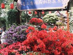 -惠山古镇·寄畅园