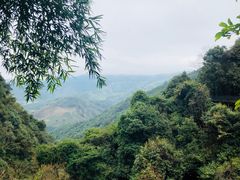-大余丫山旅游度假区