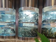 -老船舫·现做活鲜鱼馆(东郊记忆店)