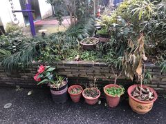 -家烧面馆【南山路知名经典面食】