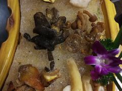 -老诚一锅羊蝎子(黄寺大街店)