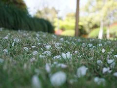 -杭州城北体育公园