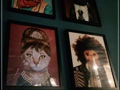 -茉莉餐厅(亳州高新万达广场希夷大道店)