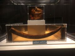 -金沙遗址博物馆