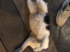 -芭提雅Amporn Seafood自助餐厅