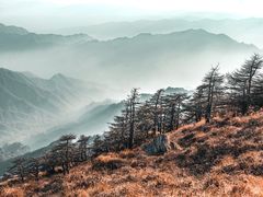 -朱雀国家森林公园