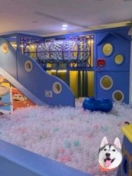 -贝悠悠(华宇时尚店)