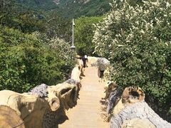 -少华山国家森林公园