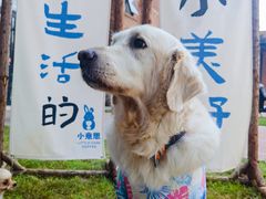 -小意思咖啡店(草桥店)