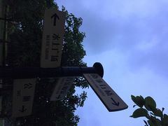 iphone_upload_pic-白鹭洲公园