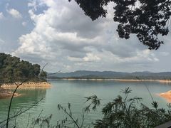 -广州市流溪河国家森林公园