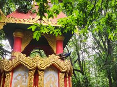 -瑞丽独树成林风景区