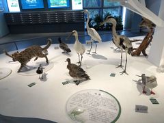 -漩门湾国家湿地公园