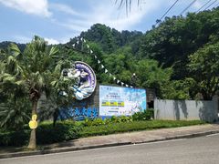 -重庆海昌加勒比海水世界