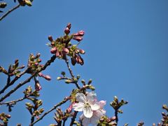 -上海植物园-4号门售票处