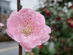 -蓝宝石大厦(天目中路)